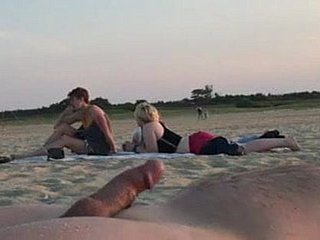 비치 플래시