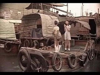 (फीचर्स) फैलीसिटी (महिमा Annen)