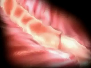 苦しみと喜び3D変態
