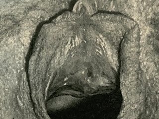 Negroid Lantern Divertissement presenta 