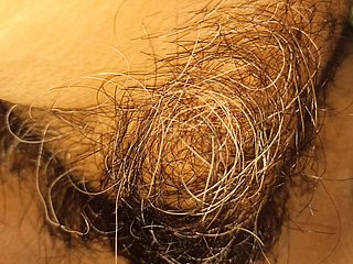 Pussy dan klitoris berbulu istri saya