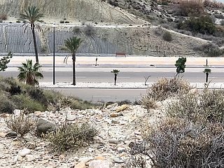 Undecorated Coming (Leila Anderson) - Non-specialized Undecorated Town