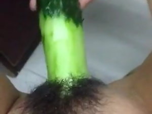 هورني الصيني شكل الطالب الخيار كما الديك واللعنة herse