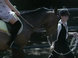 La cousine (1995)