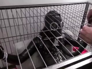 Kontrol Pernapasan Sangkar Besi