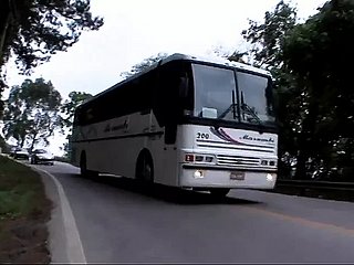 Похотливые латиноамериканки занимаются групповым сексом в автобусе