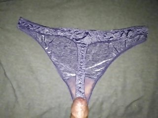 자매 통