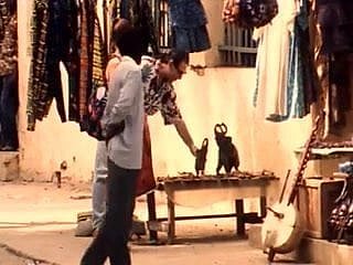 जोय एन Afrique (अफ्रीका में खुशी)
