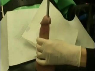 Remedial Anatomy cingulum
