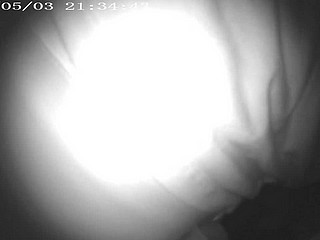 คอนเสิร์ตคล้า Obscurity Hallucinate 5 วัยรุ่น Encoxada Arrimon Chikan