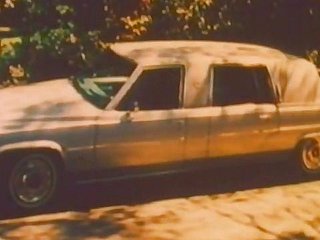 Limo Connection