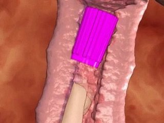 Anime Cutie Masturbates And Fucks Will not hear of B