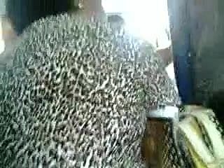 Touch palatable ass granny milf give bus 1